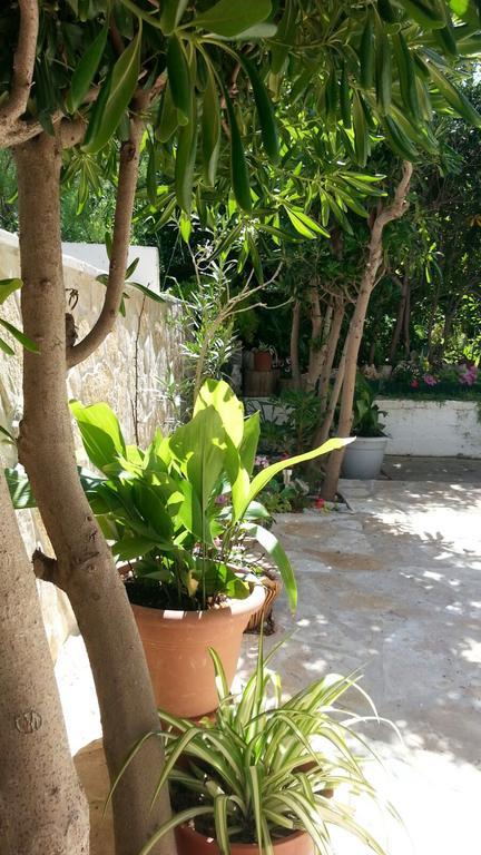 Apartament Sol *
